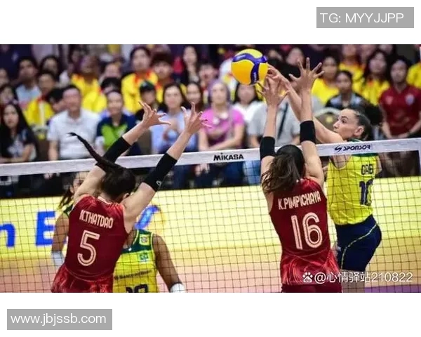 深圳排球队创新高排球状态排名引发关注与期待